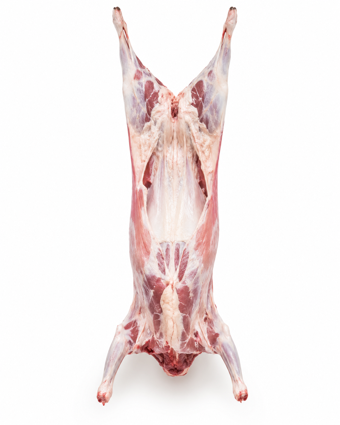 Indian Mutton (Carcass)