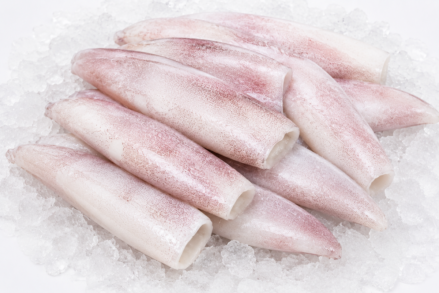 Squid (Trimmed)